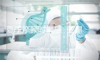 夏季摩顿时髦感  三星Galaxy A53 5G教您如何拿捏 -