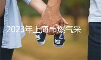 2023年上海市燃气采暖热水炉产品质量监督抽查结果